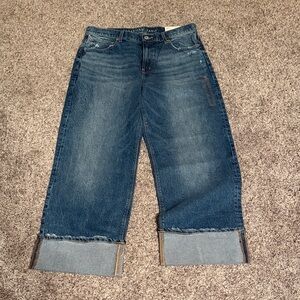 American Eagle Stovepipe Jeans NWT 10 SHORT